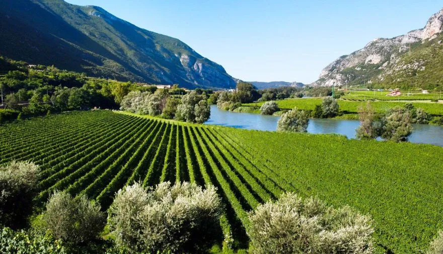 Easter and Long Weekends in Verona and Lake Garda: Discover beauty, culture, and nature in an unforgettable experience.
