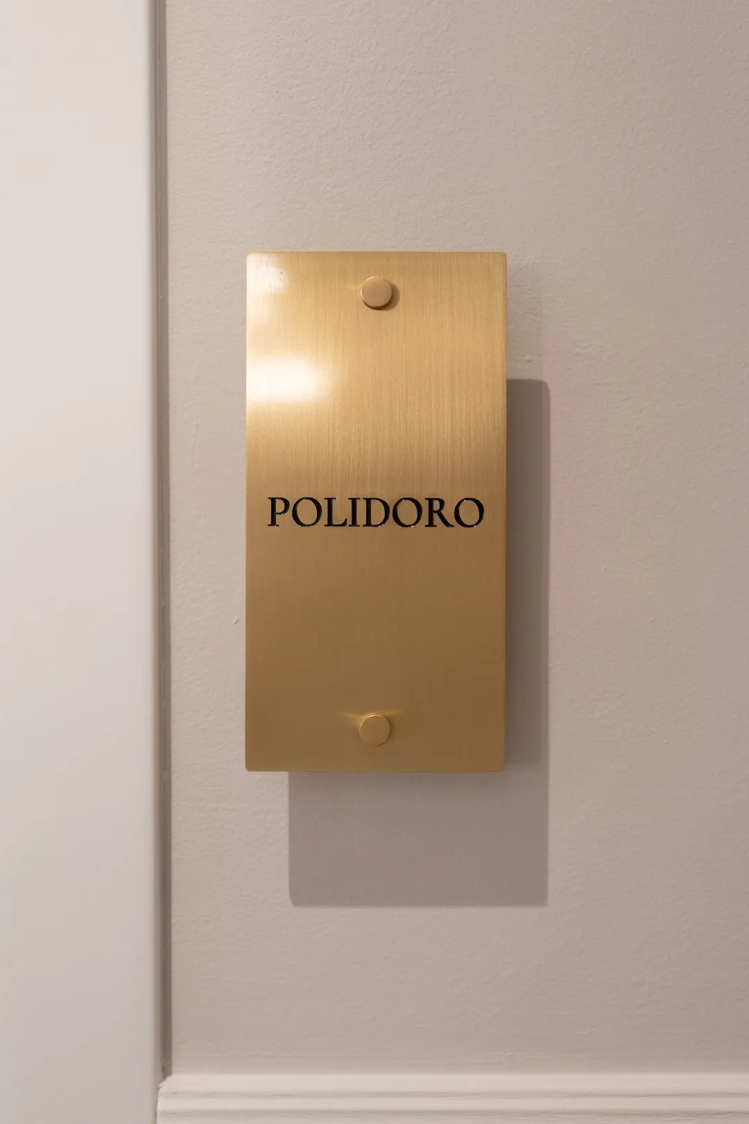 Camera Polidoro - La Merope