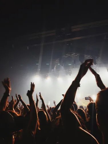 l'Immagine rappresenta un concerto 